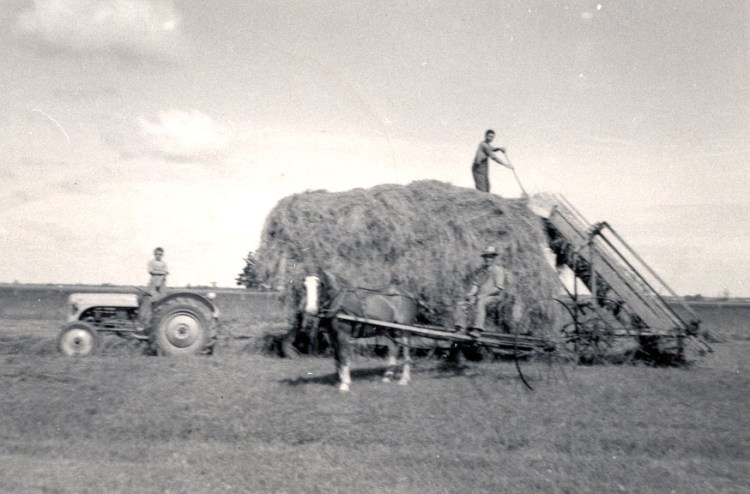 Ancêtres_agriculture
