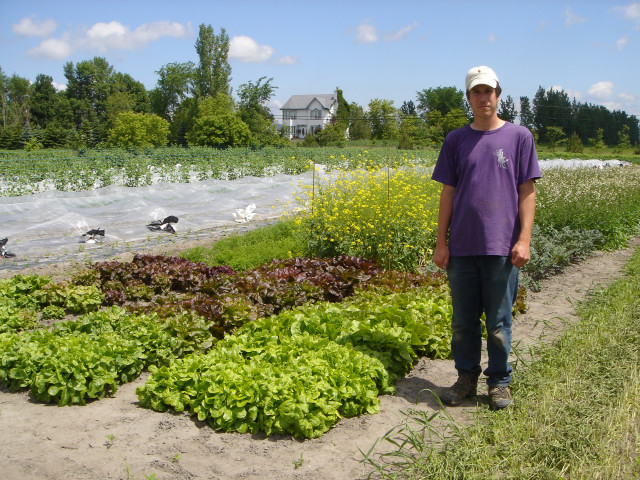 &laquo;&nbsp;Going to seed&nbsp;&raquo;… a new blog online&nbsp;!