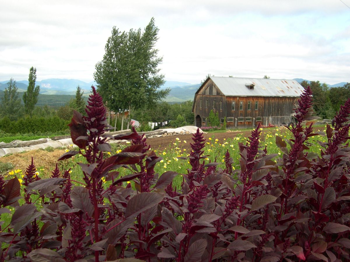 Hommage à la Ferme des Monts (balado&nbsp;no.1)
