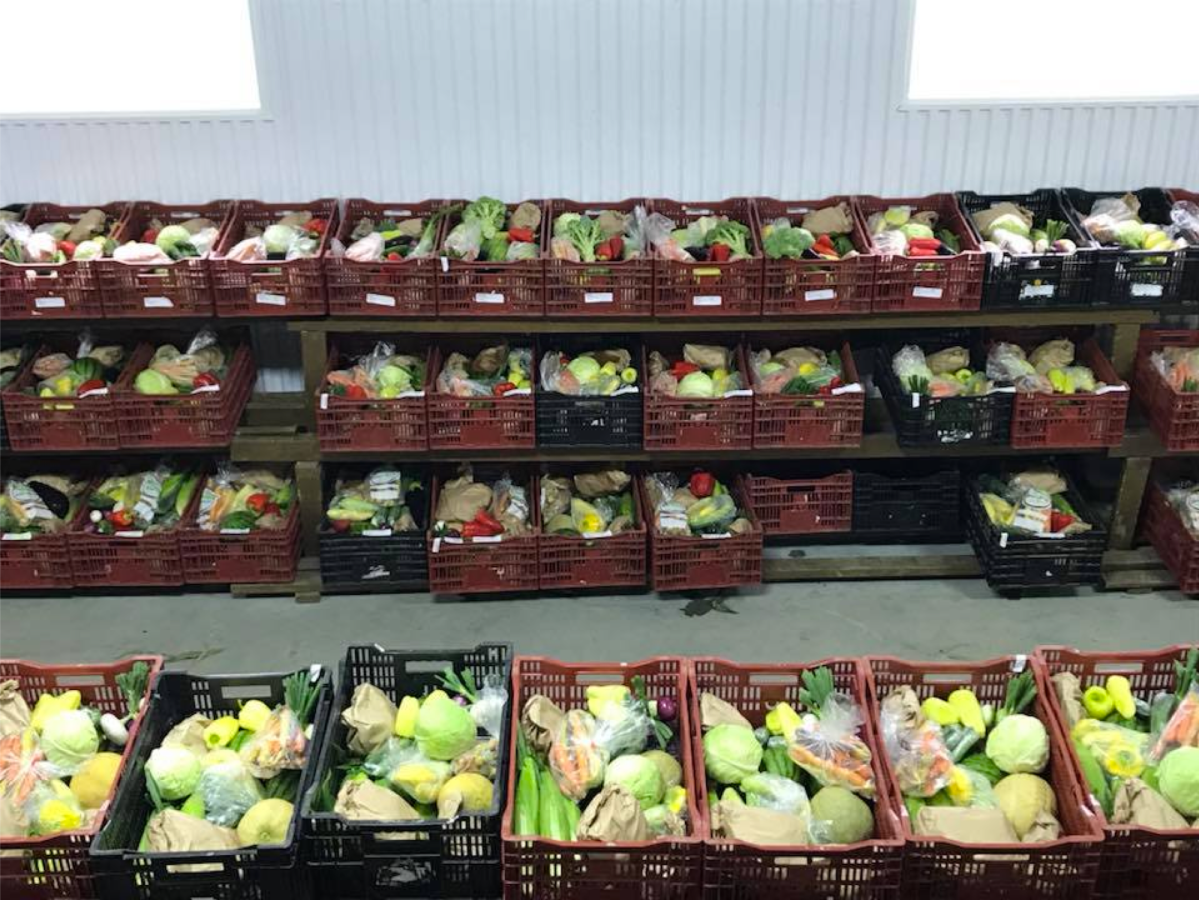 Paniers bio préassemblés : le modèle des Jardins Bio&nbsp;Campanipol