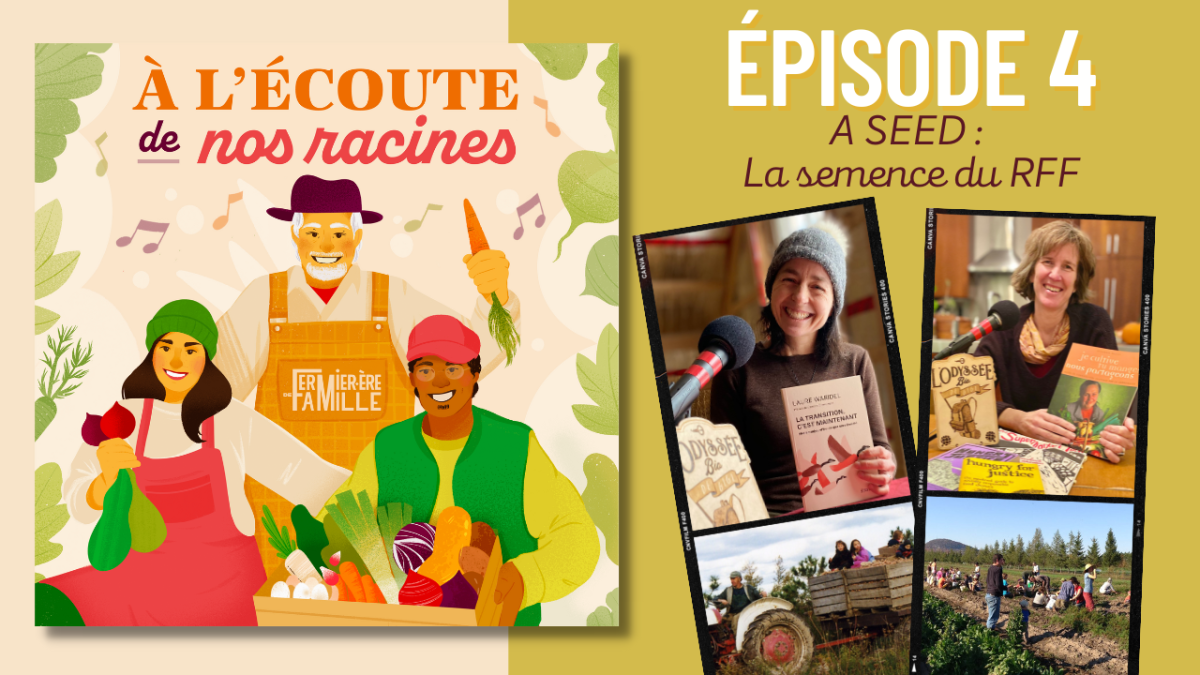 Épisode no.4 | &laquo;&nbsp;À l&rsquo;écoute de nos racines&nbsp;&raquo;