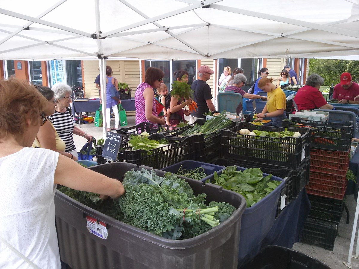 La crise de coronavirus, nouveau moteur d’innovation au rayon des paniers bio et locaux&nbsp;(2/3)